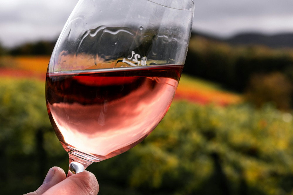 Hemmelige skatte: Opdag bourgogne vinens vidunderlige verden